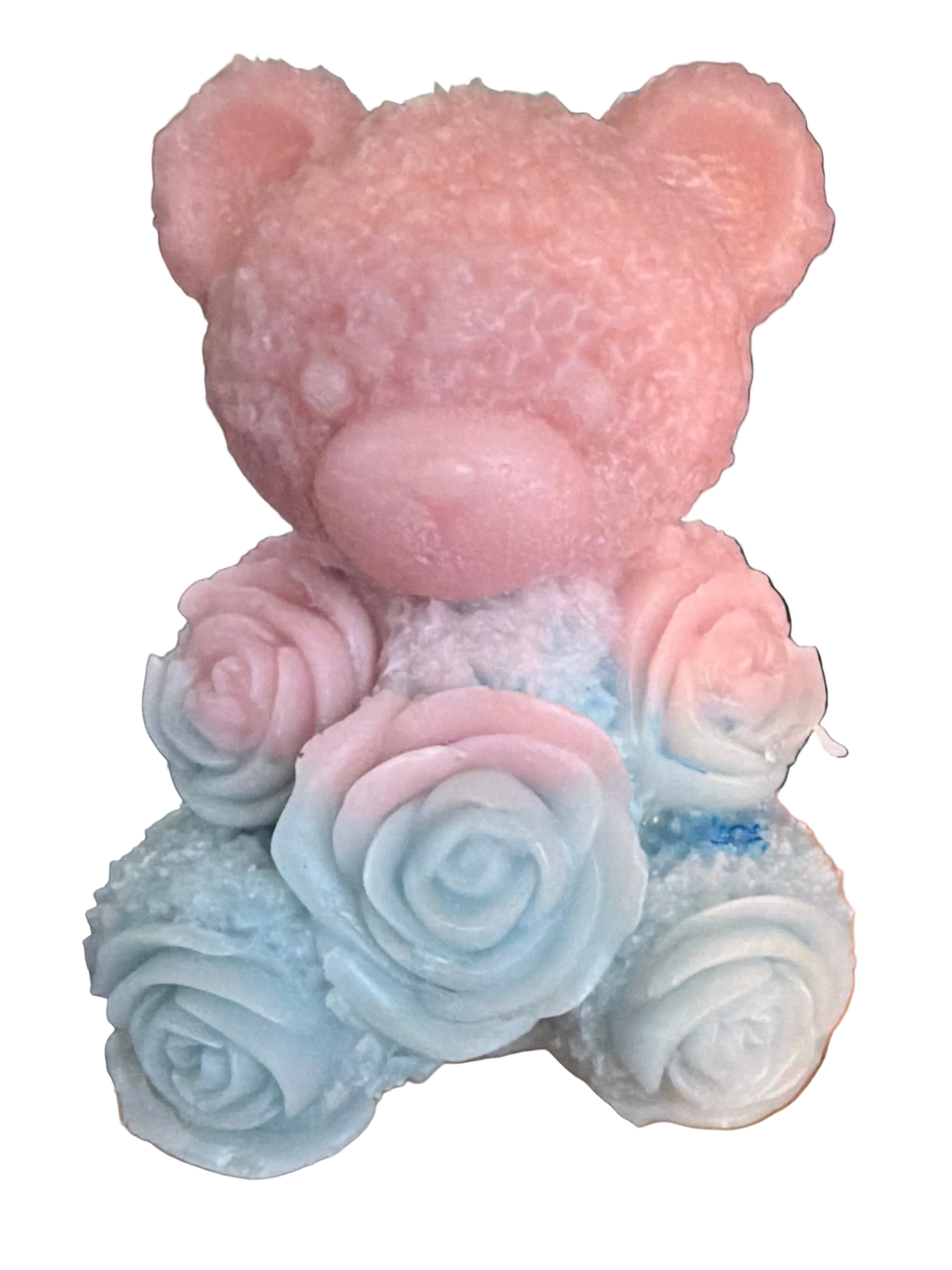 Gender Reveal-Beary love Collection