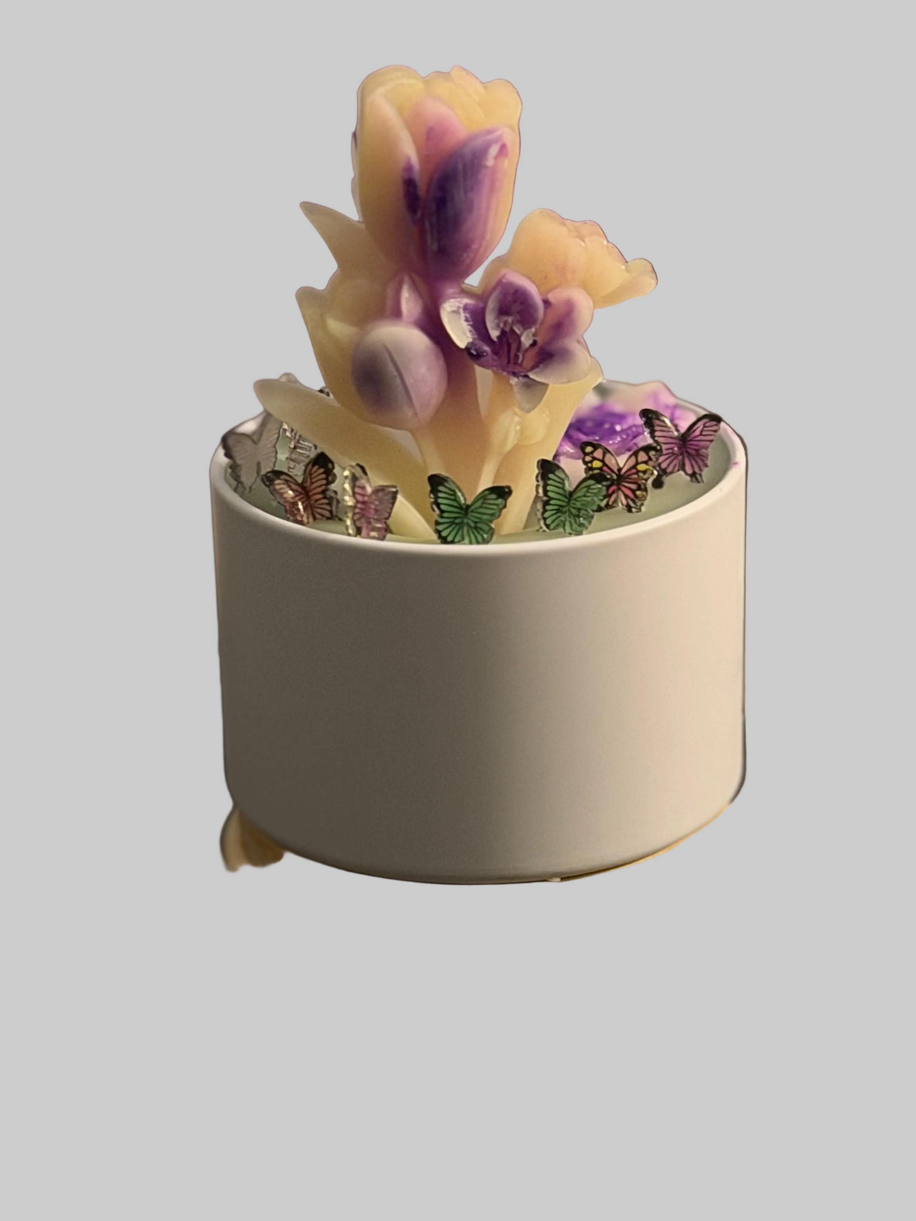 L'Éclosion de Monay" (The Blooming of Monay)